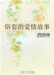 俗套爱情故事王一博肖战