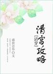 清宫攻略清穿免费阅读