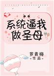 系统要我做圣母