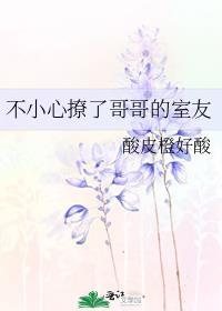 不小心撩了哥哥的室友免费阅读无弹窗