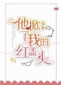 他掀起了我的红盖头txt
