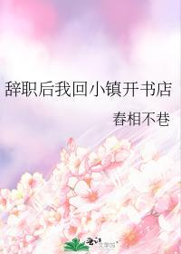 辞职后我回小镇开书店全文 番外