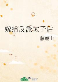 嫁给反派太子后+藤鹿山