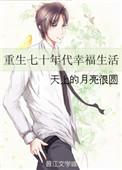 重生七十年代好生活