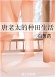 类似唐老太的种田生活
