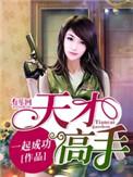 天才高手36个老婆名字