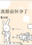 怀孕了离婚怎么处理