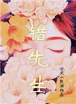 土耳其电视剧错先生