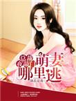 萌妻小宝总裁城上门