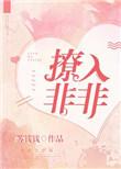 撩入非非番外txt