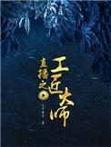 直播之工匠大师书包网