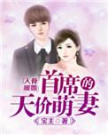 入骨婚宠总裁太霸气免费阅读