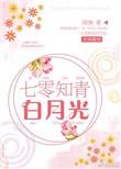 七零知青白月光 作者清涴