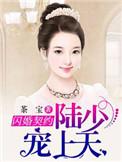 陆少闪婚小甜妻