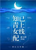 知青女配绑定了交易系统