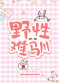 野性难驯疯批大佬的掌心宠