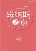 维纳斯之美