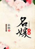 名媛攻略讲的什么