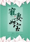 宠妻如宝(重生)