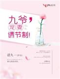 九爷宠妻如命笔趣阁