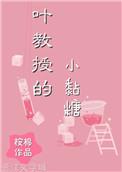 叶教授的小黏糖宝书网