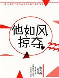 他如风掠夺by