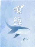 撩鲸讲的什么