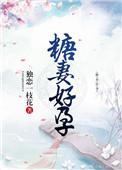 糖妻好孕百度