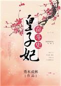 皇妃奋斗史讲的什么