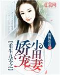 重生九零娇宠小田妻txt免费阅读