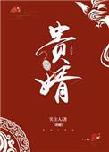 贵婿讲的什么