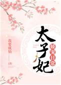 太子妃娇宠日常汤婂