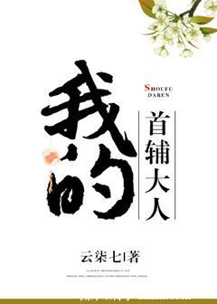 首辅大人的宠妾简介