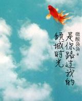 你路过我的倾城时光