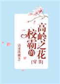 校霸的高岭之花作者清溪洗砚