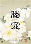 媵宠类似的