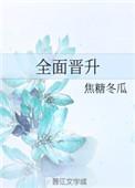 全面晋升by焦糖冬瓜txt百度