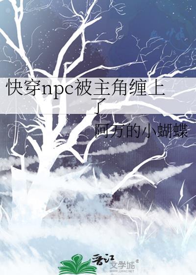 npc耽美快穿