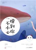 一不小心撩到你了