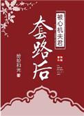 书名被心机夫君套路后