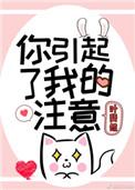 你引起了我得注意