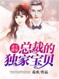 总裁重生霸宠小萌妻