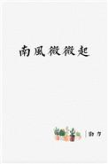 南风微微起孩子番外