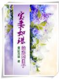 宝妻写的有哪些