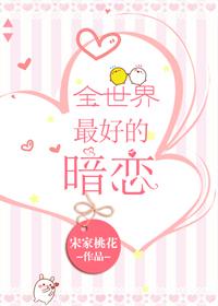 全世界最好的暗恋晋江