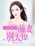 总裁前妻别嫁人试试