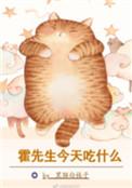 霍先生今天吃什么txt宝书