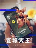 宠物天王介绍