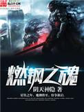 燃钢之魂笔趣阁免费阅读