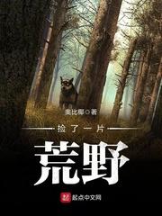 捡了一片荒野txt精校